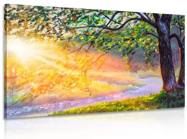 Obraz východ slnka v lese