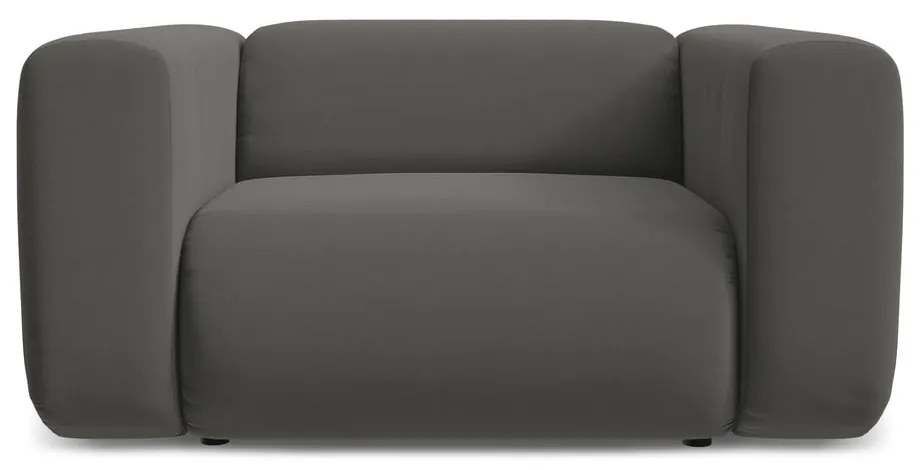 Sivé zamatové kreslo Ekahi – Makamii