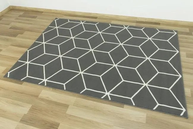 Koberec Luna 503746/51911 Kocky sivý