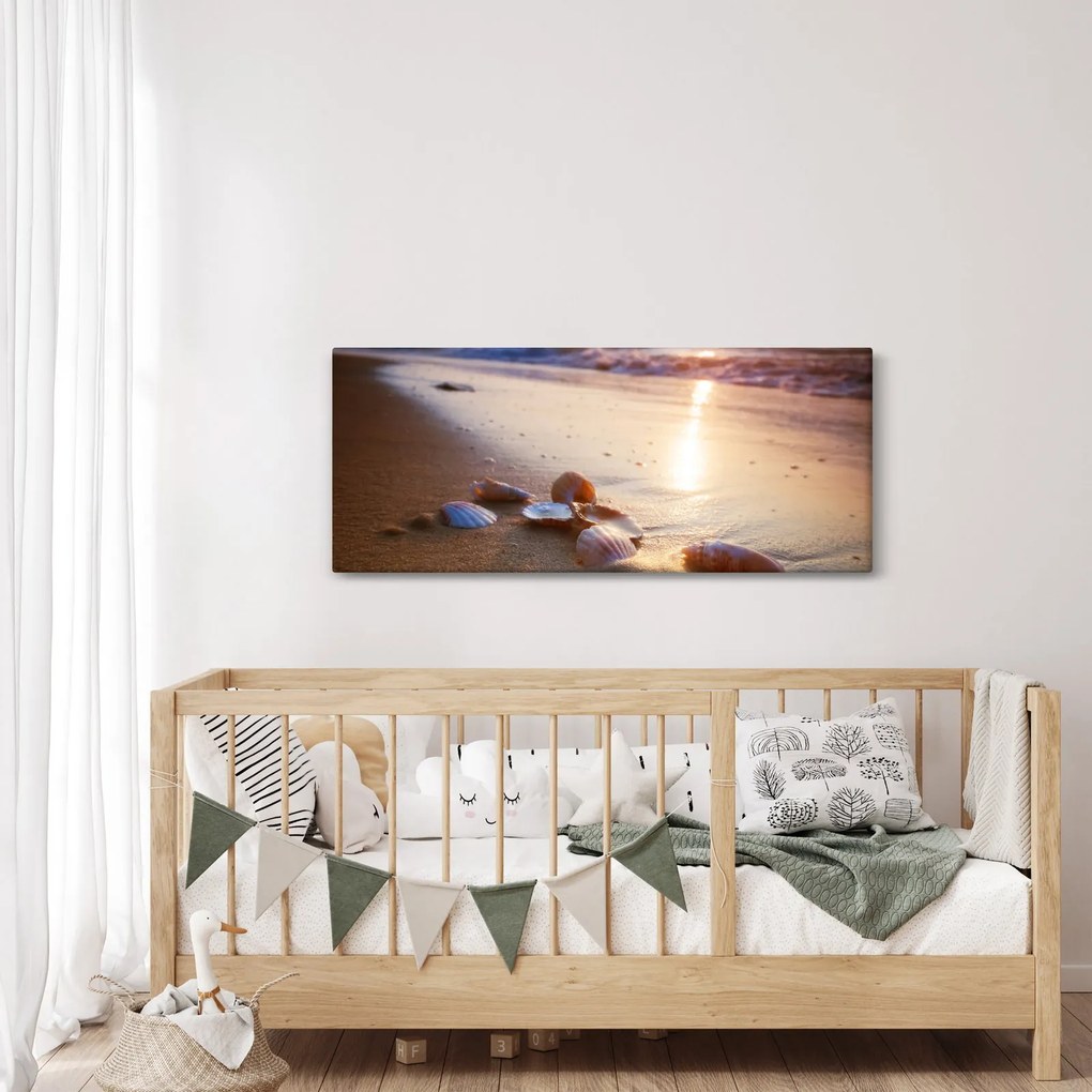 Obraz - Mušle (120x50 cm)