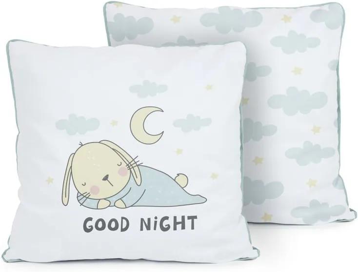 Obojstranný vankúš Tanuki Good Night, 50 × 50 cm