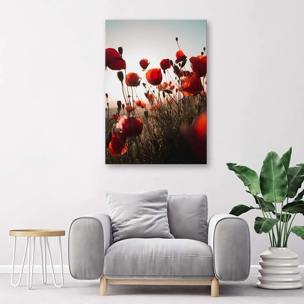 Obraz na plátně Červený mák v polních květech - 70x100 cm