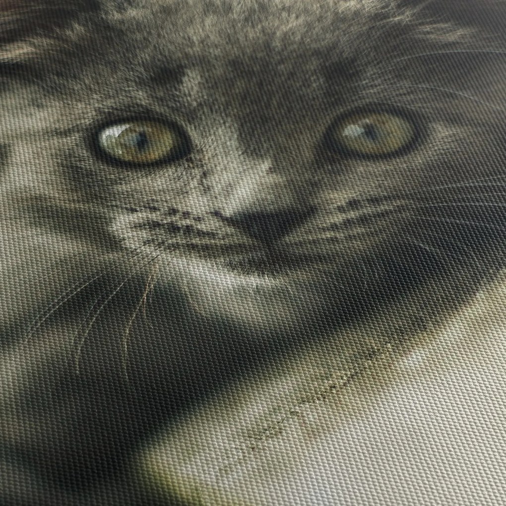Obraz mačiatka (s hodinami) (90x30 cm)