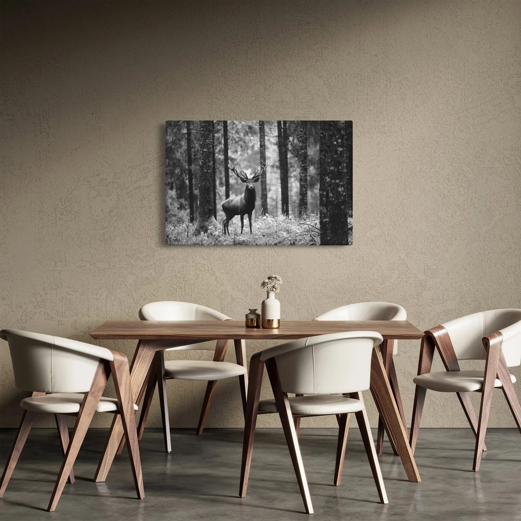 Obraz - Jeleň v lese 2, čiernobiela (90x60 cm)