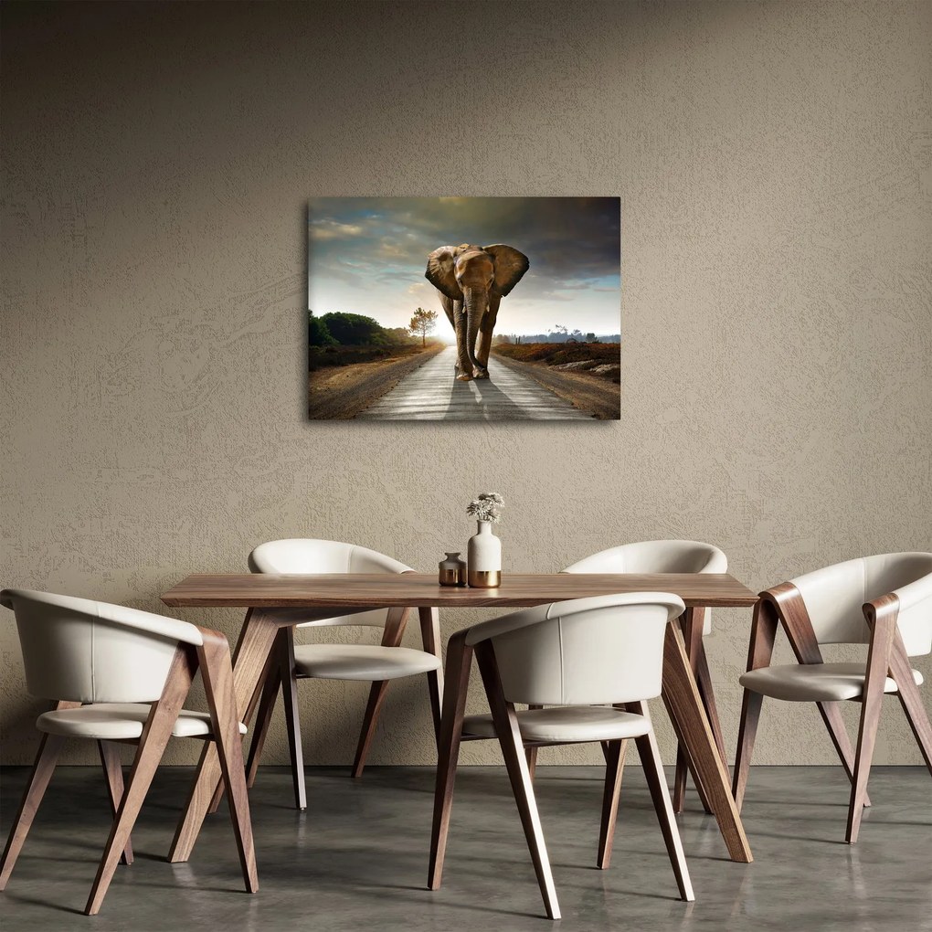Obraz slona (70x50 cm)