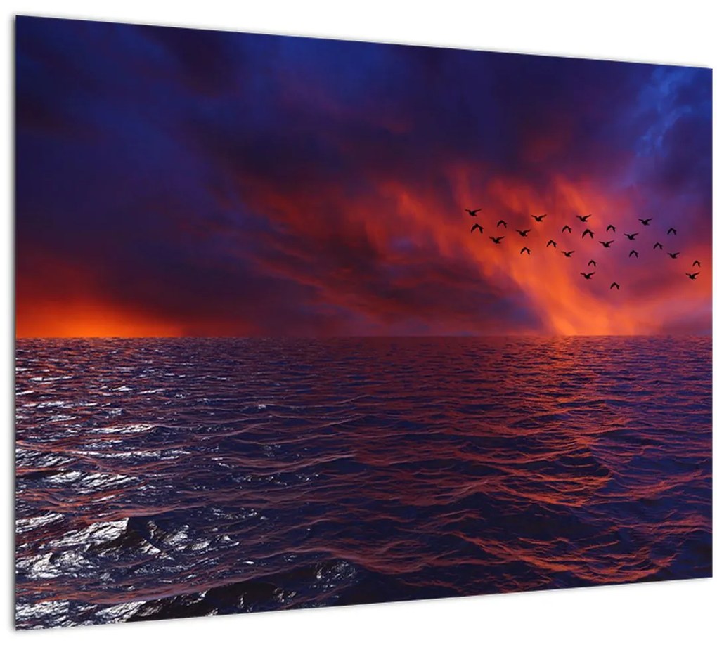 Sklenený obraz mora s vtákmi (70x50 cm)