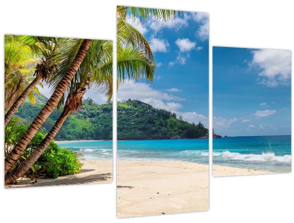 Obraz - Karibik (90x60 cm)