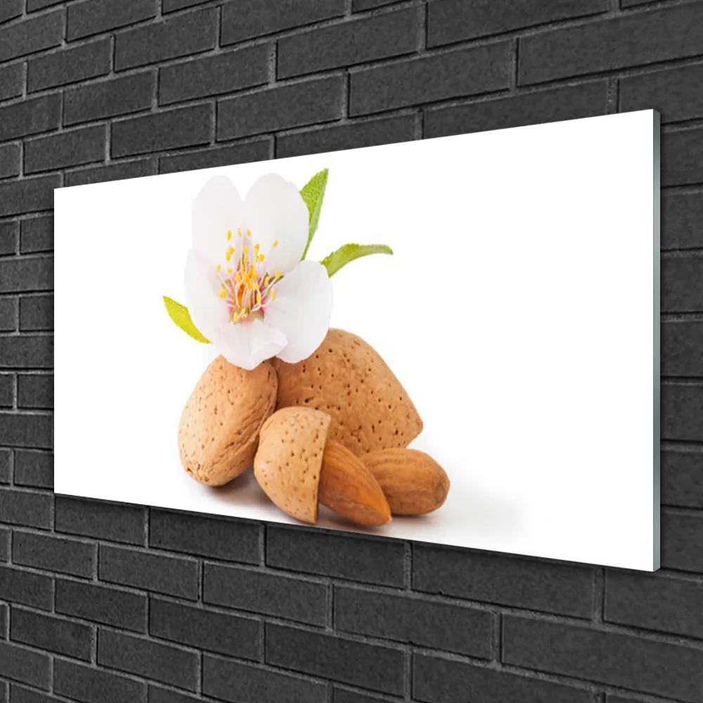 Skleneny obraz Kvet pistácie príroda 125x50 cm