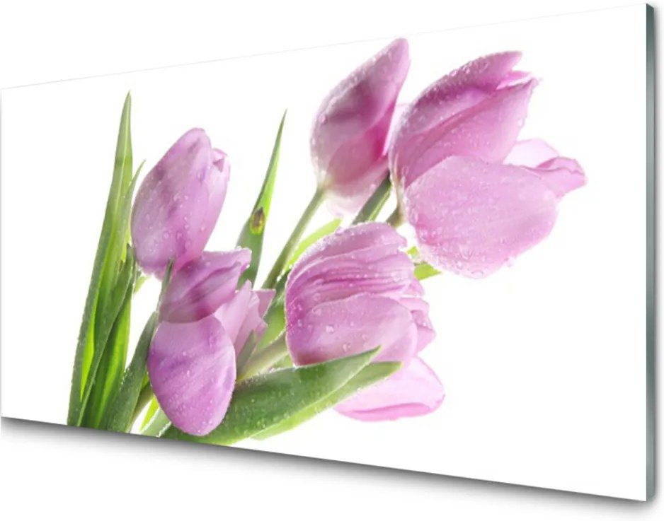 Skleněný obraz Tulipány Kvety Rastlina