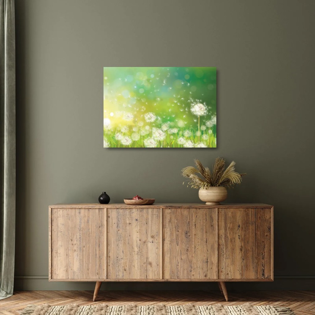 Sklenený obraz - Odkvitnuté púpavy (70x50 cm)