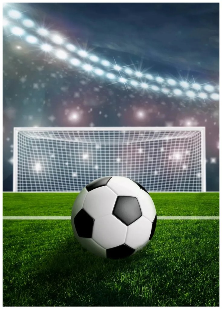 Fleecová deka s motívom Futbalové ihrisko - 100 x 140 cm