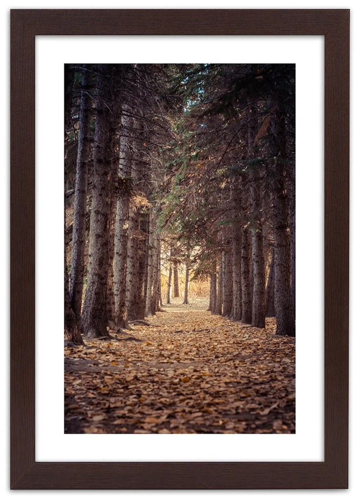 Gario Plagát Les na jeseň Farba rámu: Bez rámu, Rozmery: 70 x 100 cm