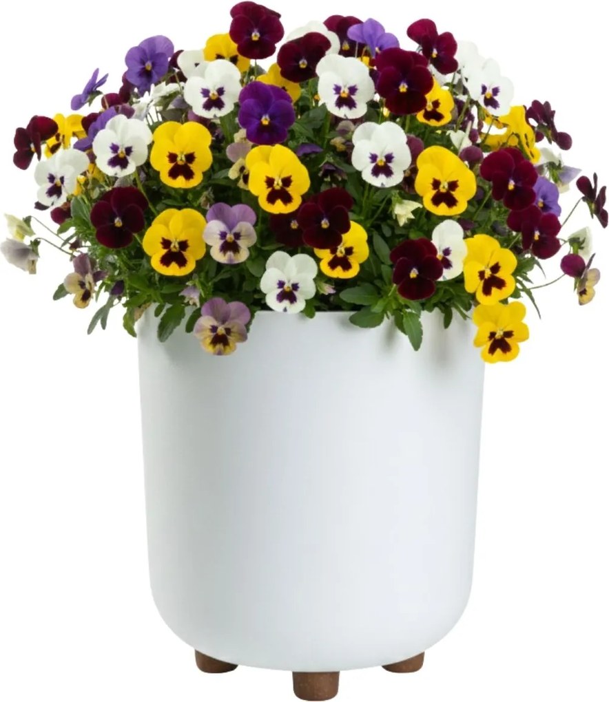 PLASTOVÝ KVETINÁČ TERRA 24X27,5 CM BIELA