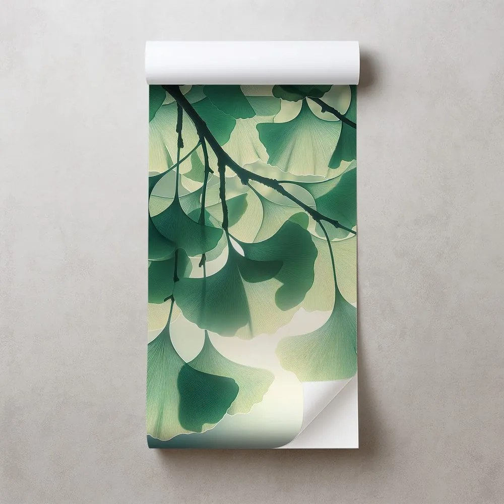 Samolepiaca tapeta zelené listy ginka v žiare svetla