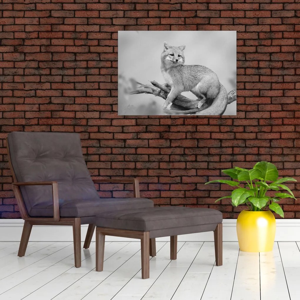 Sklenený obraz - Líška šedá (70x50 cm)