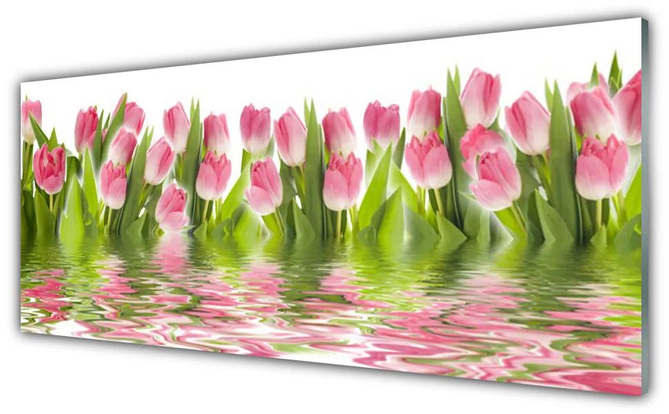 Obraz plexi Tulipány rastlina príroda 125x50 cm