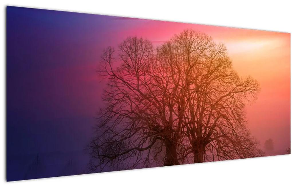 Obraz stromov v hmle (120x50 cm)