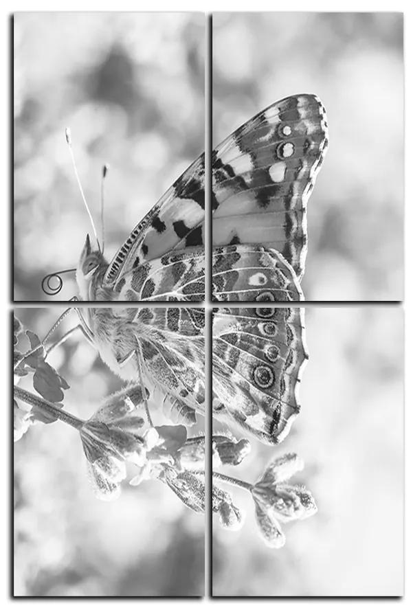Obraz na plátne - Motýľ na levandule - obdĺžnik 7221QE (120x80 cm)