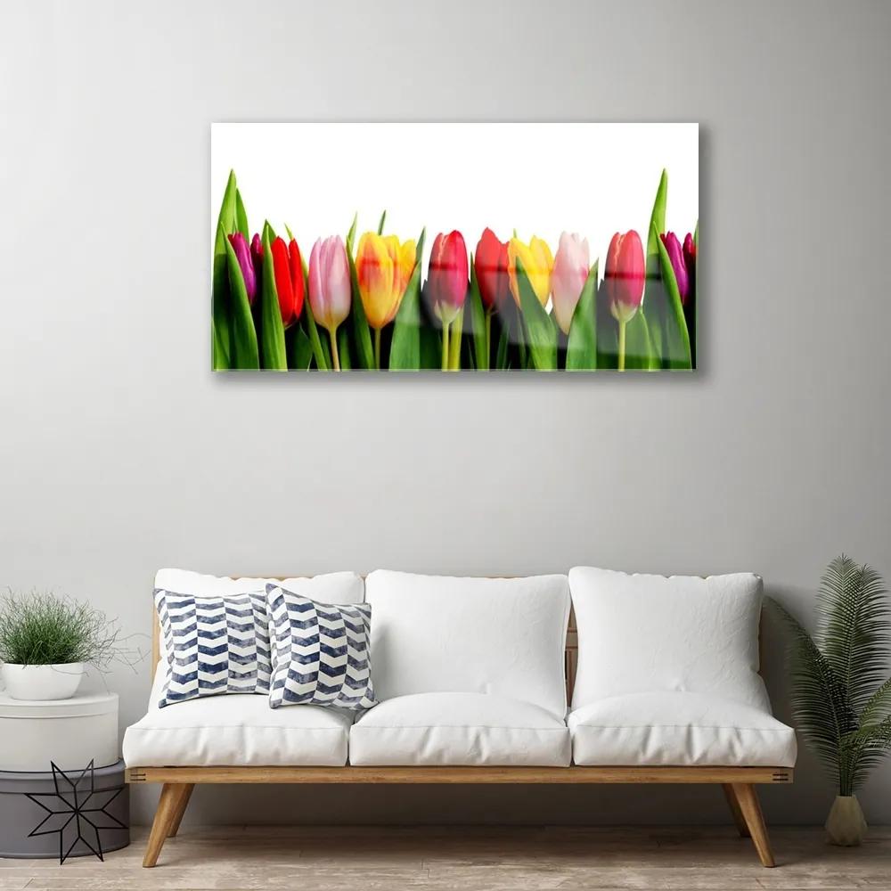 Obraz na skle Tulipány rastlina 125x50 cm