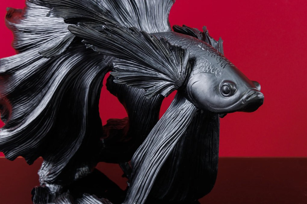 Ozdobná rybka Crowntail 65cm čierna