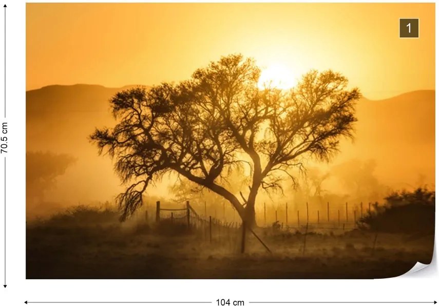 Fototapeta GLIX - Golden Sunrise + lepidlo ZADARMO Vliesová tapeta  - 104x70 cm