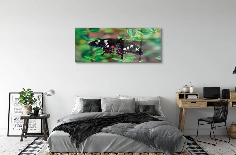 Obraz na akrylátovom skle List farebný motýľ 120x60 cm
