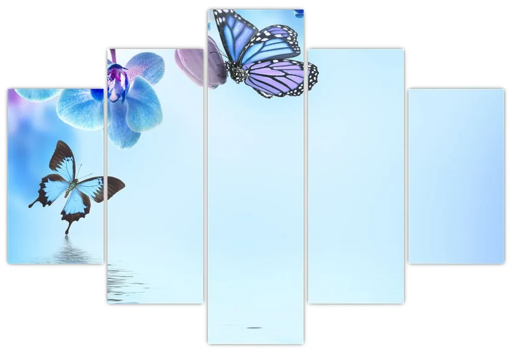 Obraz - Motýľ na kvetoch orchidey, modrý (150x105 cm)