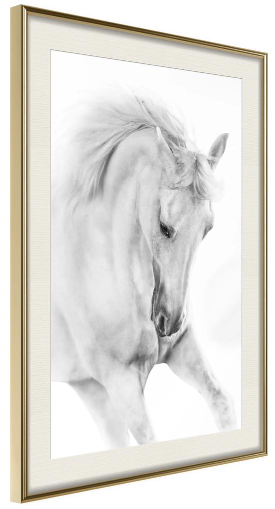 Artgeist Plagát - White Horse [Poster] Veľkosť: 40x60, Verzia: Čierny rám s passe-partout