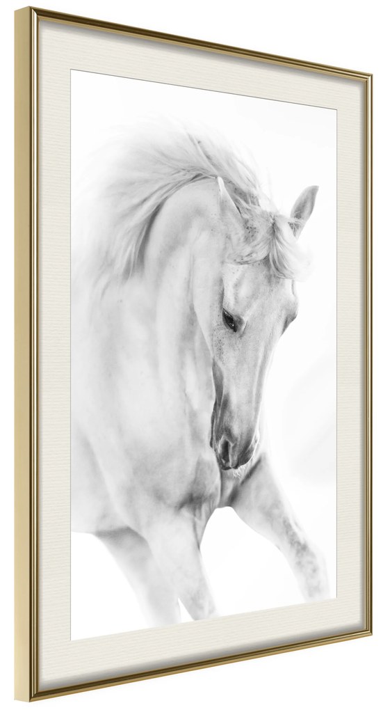 Artgeist Plagát - White Horse [Poster] Veľkosť: 40x60, Verzia: Čierny rám