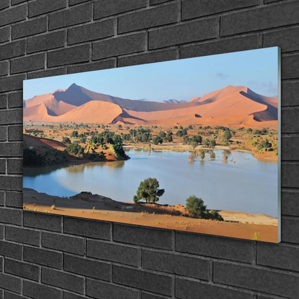 Skleneny obraz Jazero púšť krajina 100x50 cm