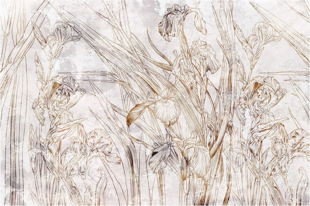 Obraz - Kosatce (90x60 cm)