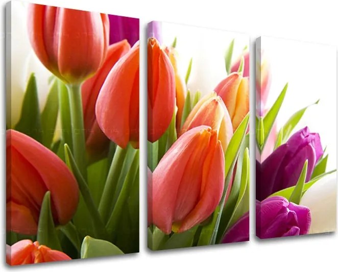 Obraz na stenu 3 dielny KVETY XOBKV138E30 - 90x60 cm