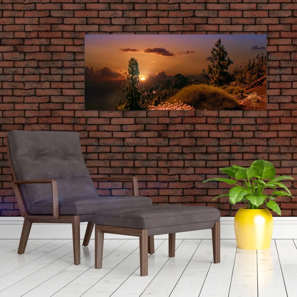 Obraz prírody pri západe slnka (120x50 cm)