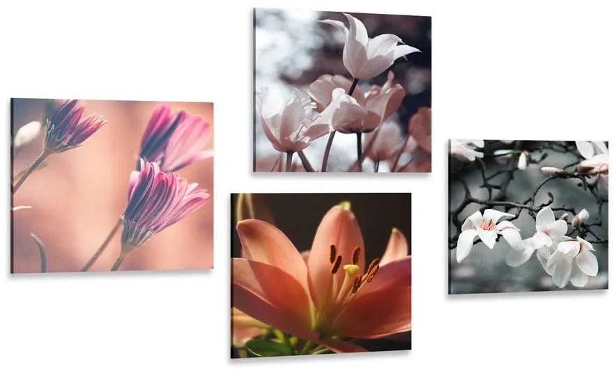 Set obrazov nežnosť kvetov