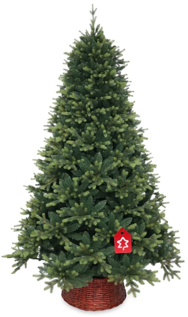 Smrek Kvitnúci extra hustý 180 cm