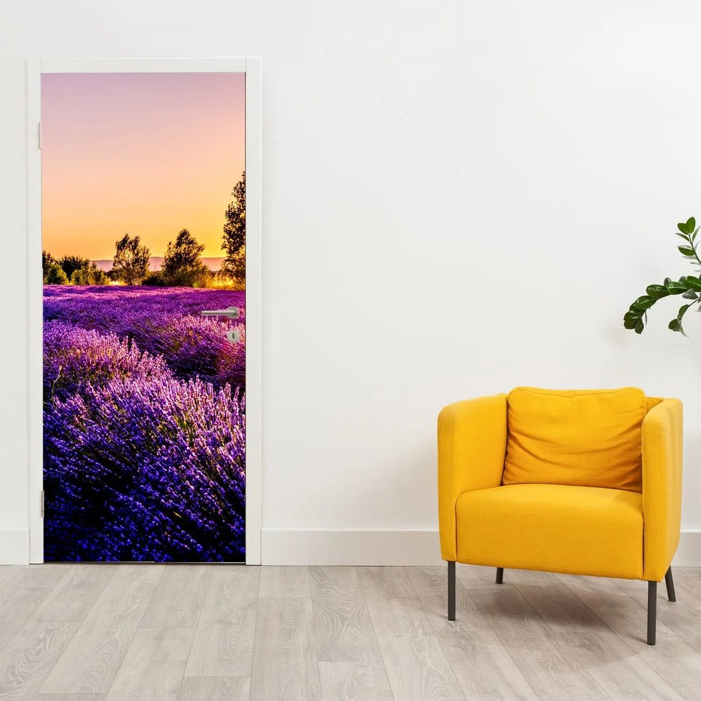 Fototapeta na dvere - Levanduľové pole (95x205cm)