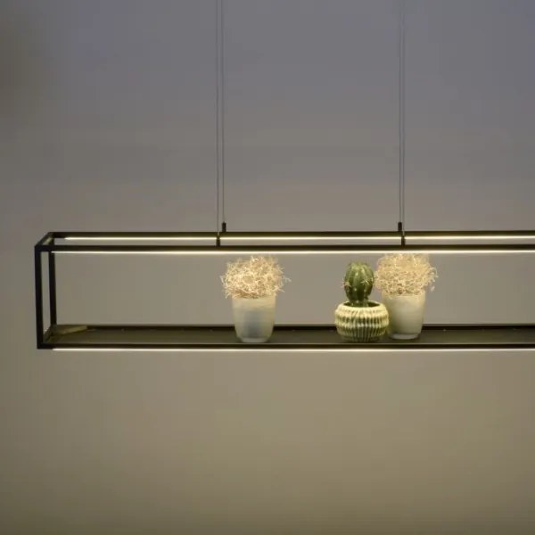 Paul Neuhaus 2441-18 - LED Stmievateľný luster na lanku CONTURA 4xLED/8W/230V