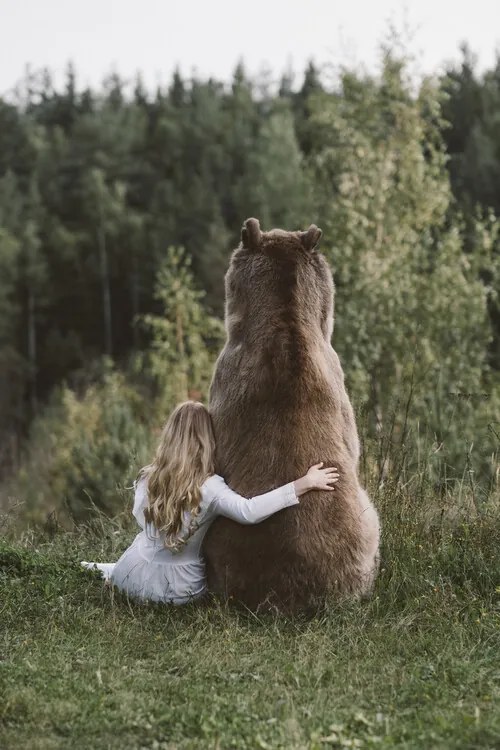 Fotografia Bear, Olga Barantseva