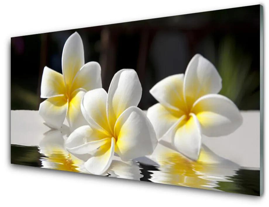 Obraz na skle Kvety rastlina príroda 100x50cm