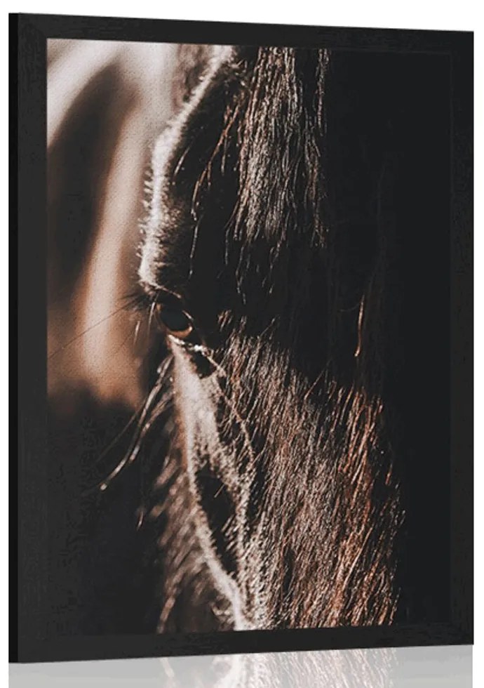 Plagát majestátny kôň - 30x45 black