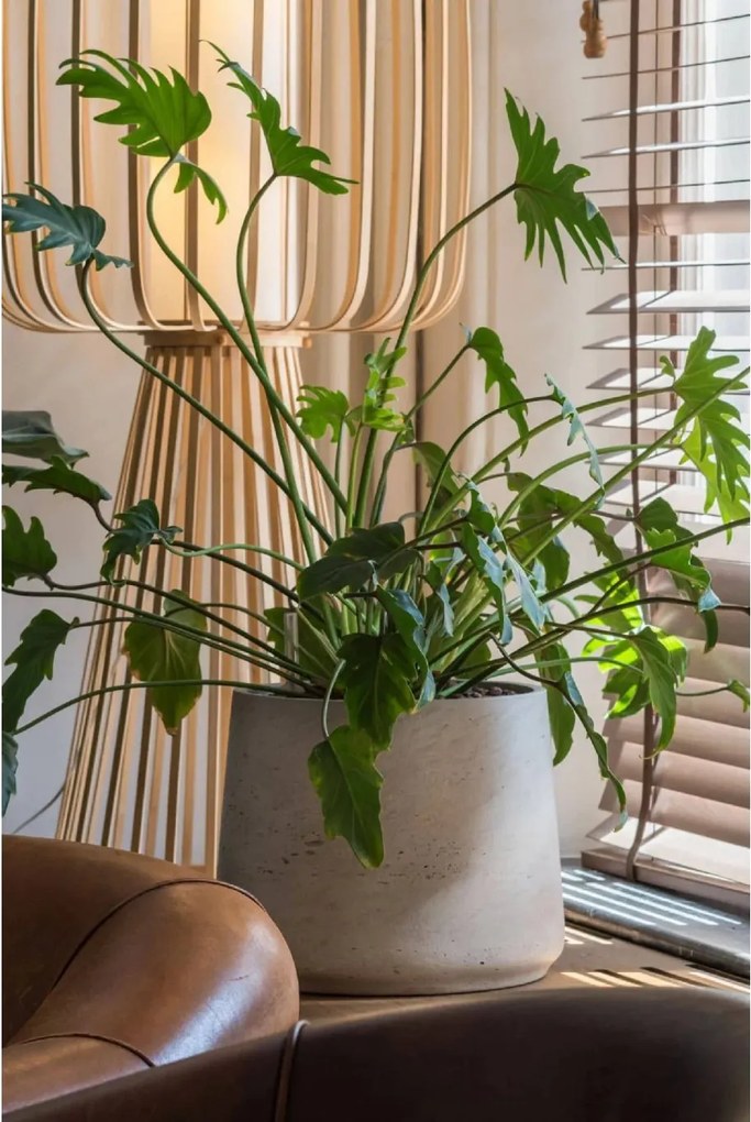 Kvetináč TROPICO, sklolaminát, výška 29 cm, béžová