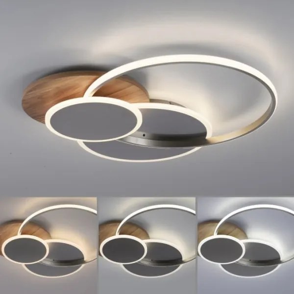 Paul Neuhaus 8328-79 - LED Stmievateľné stropné svietidlo PALMA LED/50W/230V + DO