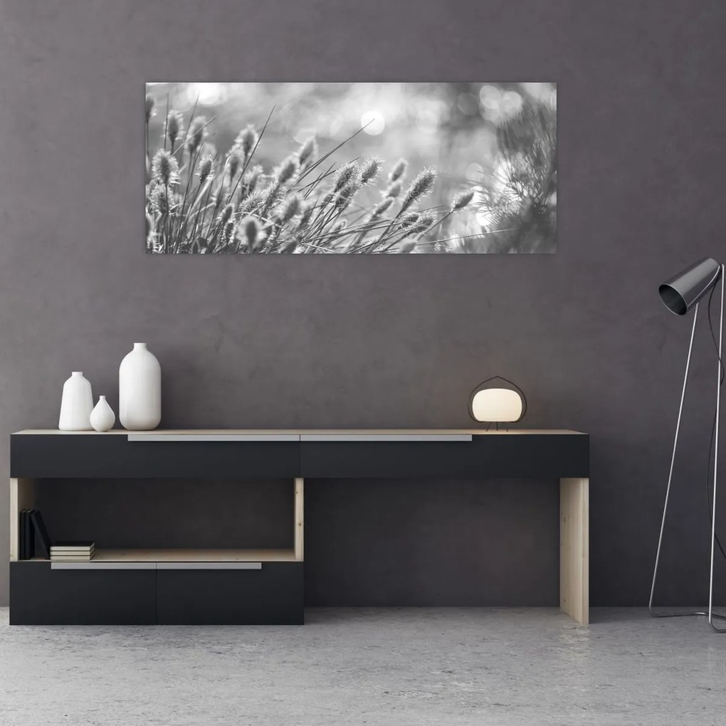 Obraz - Béžová soft grass N⁰1 (120x50 cm)
