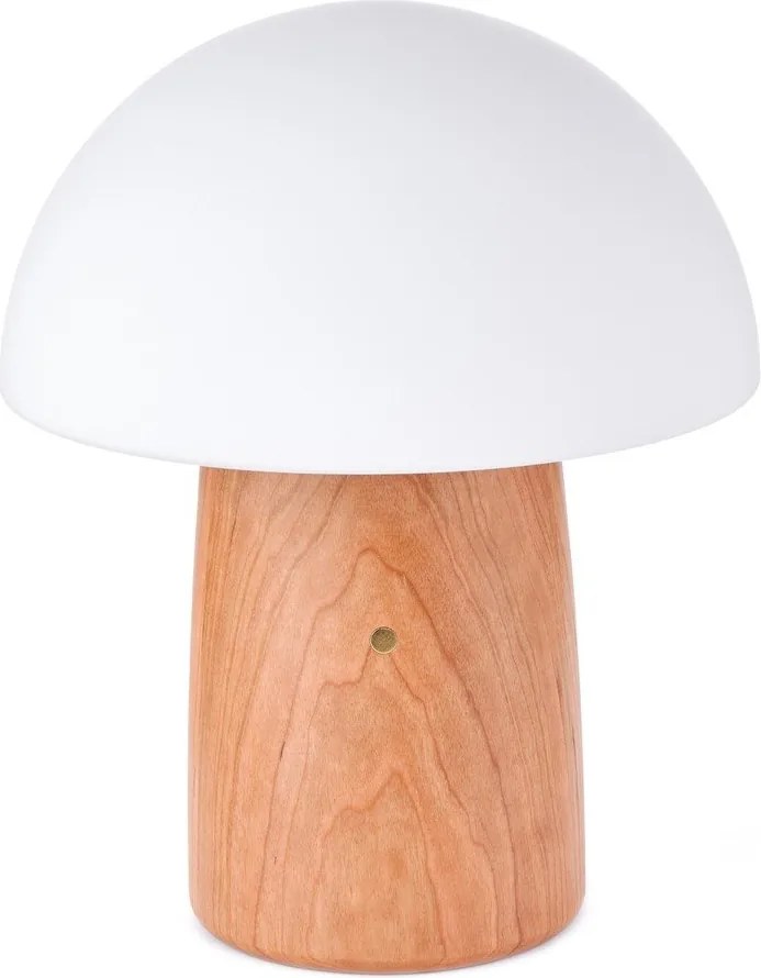Stmievateľná stolová lampa v prírodnej farbe so skleneným tienidlom (výška 32 cm) Alice - Gingko
