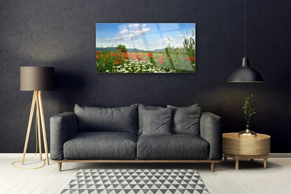 Obraz plexi Lúka kvety príroda 100x50 cm