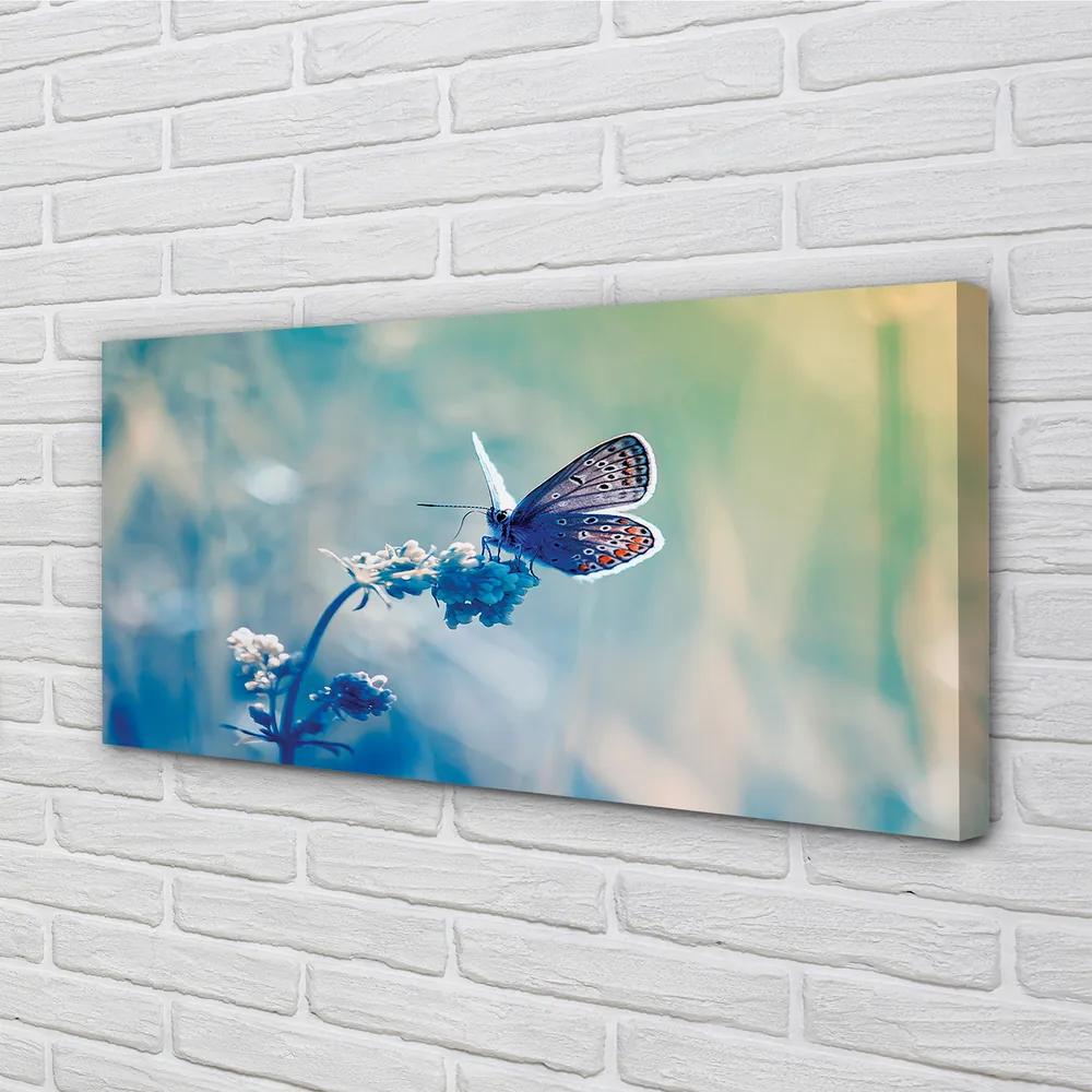 Obraz na plátne farebný motýľ 140x70 cm