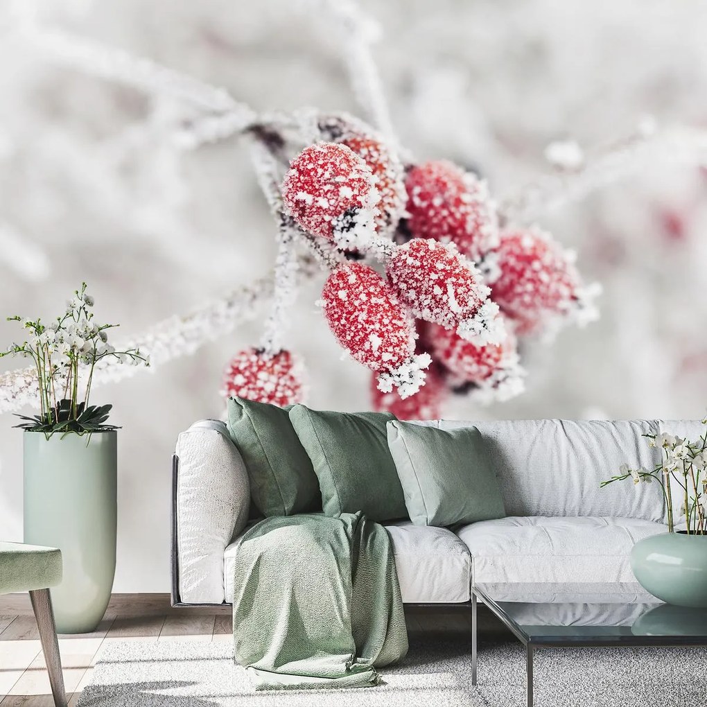 Fototapeta - Zmrznuté plody (147x102 cm)