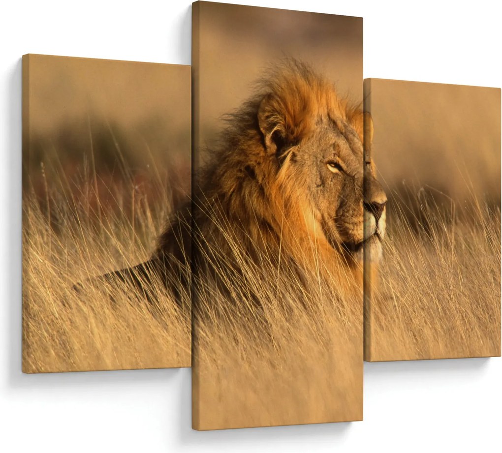 Obraz - Národný park Etosha (90x60 cm)
