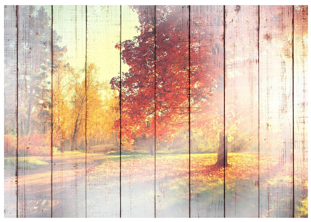 Artgeist Fototapeta - Autumn Sun Veľkosť: 147x105, Verzia: Samolepiaca