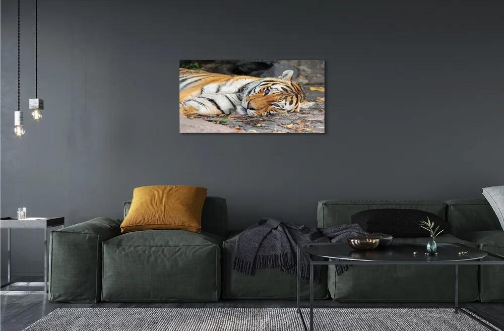 Sklenený obraz ležiace tiger 120x60 cm